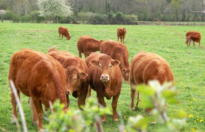Photo de la commune mise dans le diaporama d'accueil