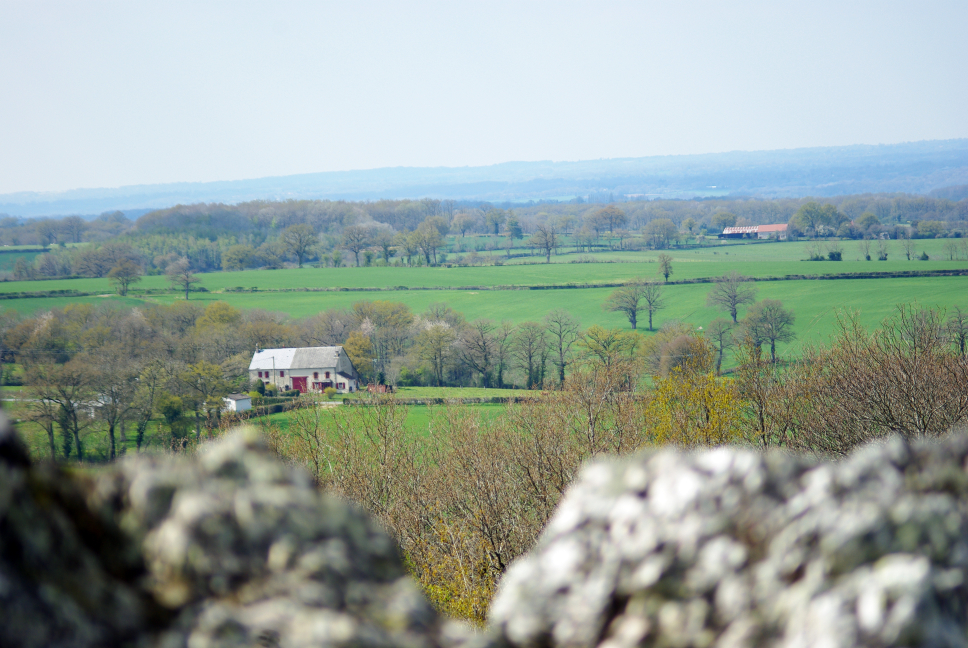 La péricholle